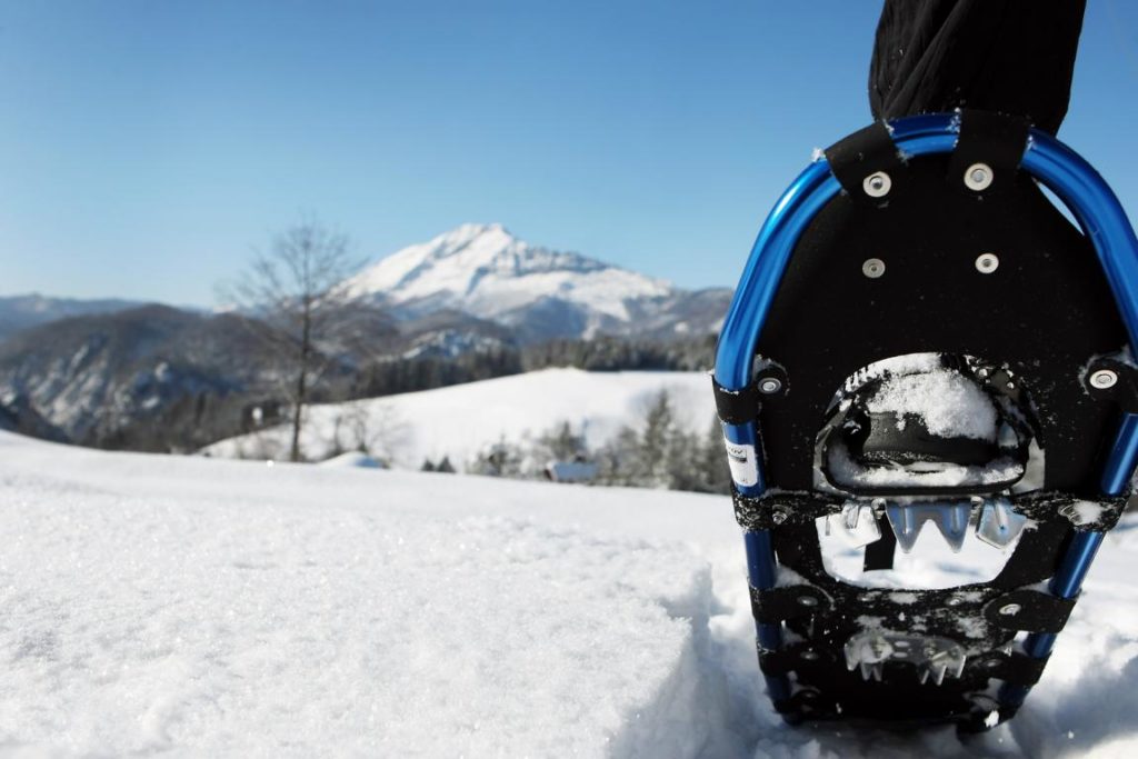 Schneeschuhwandern - Foto weinfranz.at-Mostviertel Tourismus